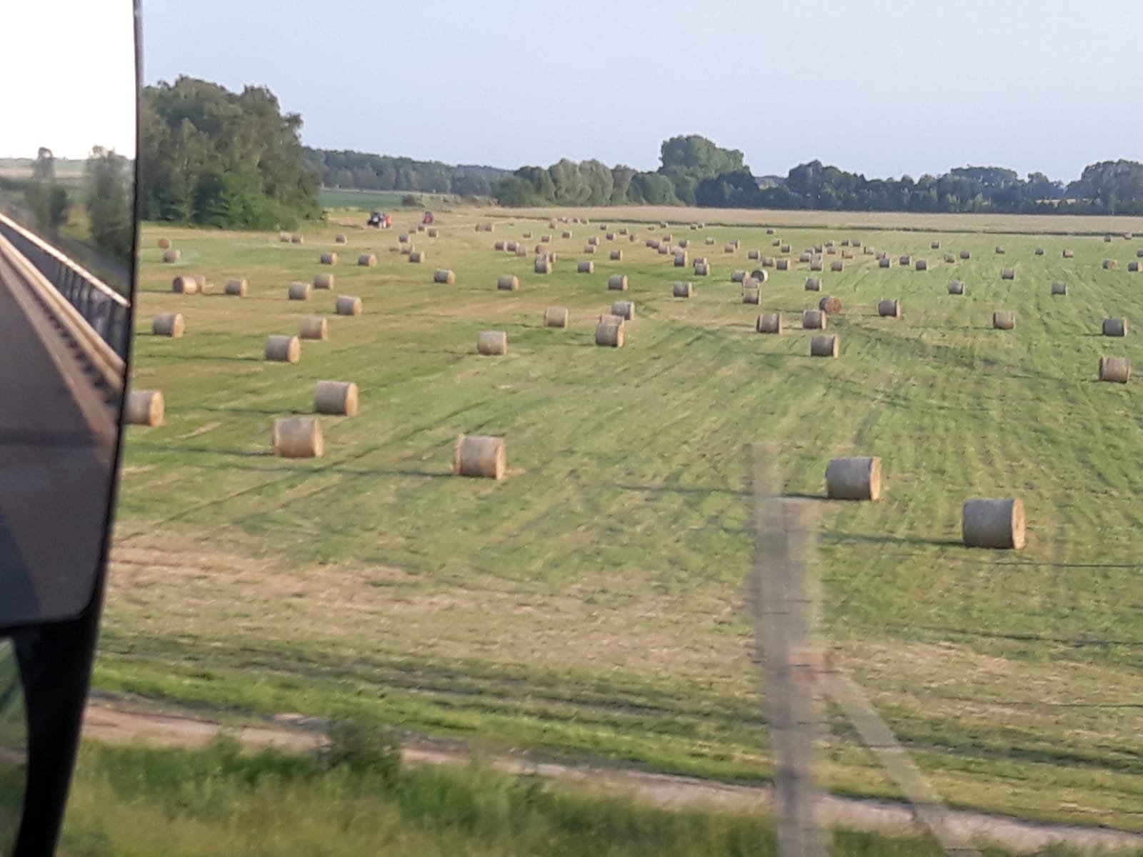 Arbeit auf dem Feld