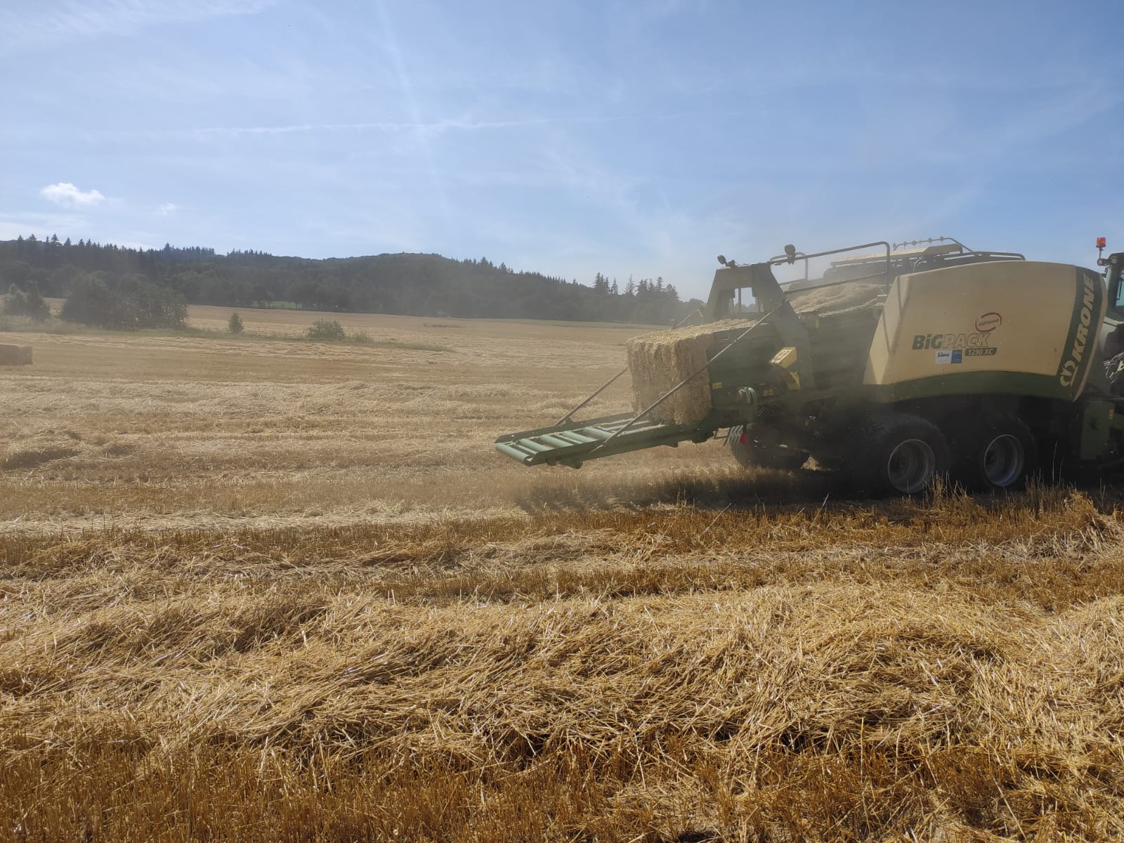 Arbeit auf dem Feld